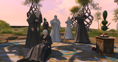 ffxiv 17072024 002637 540.png