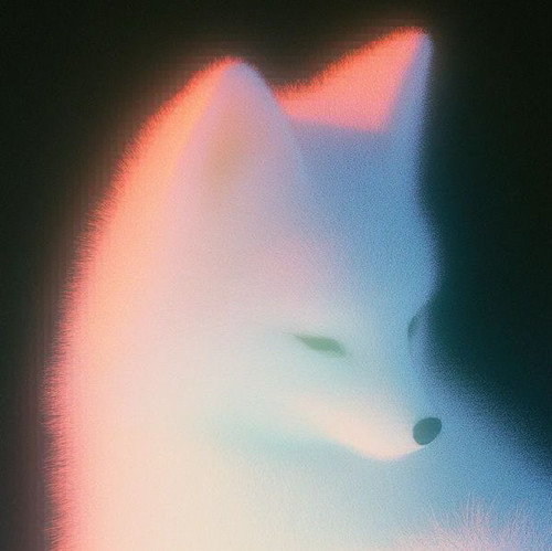 081f060a7df1.jpg