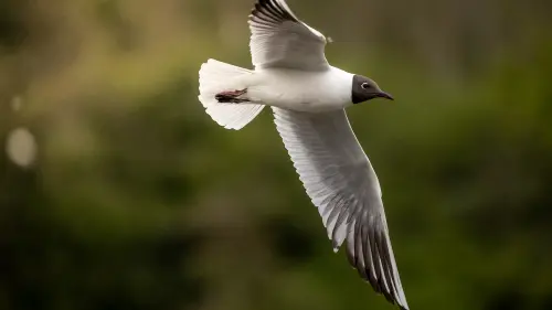 5671652ea94c.webp