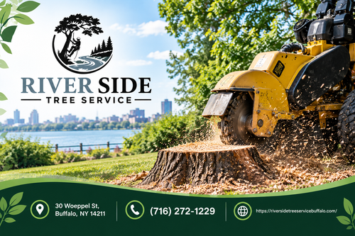 Riverside Tree Service 2.png