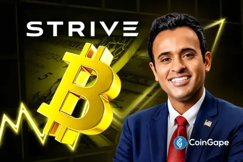 just in vivek ramaswamy s strive.webp