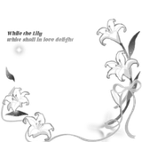 1000205651.png