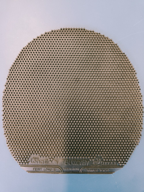 nuqPP71.md.jpg