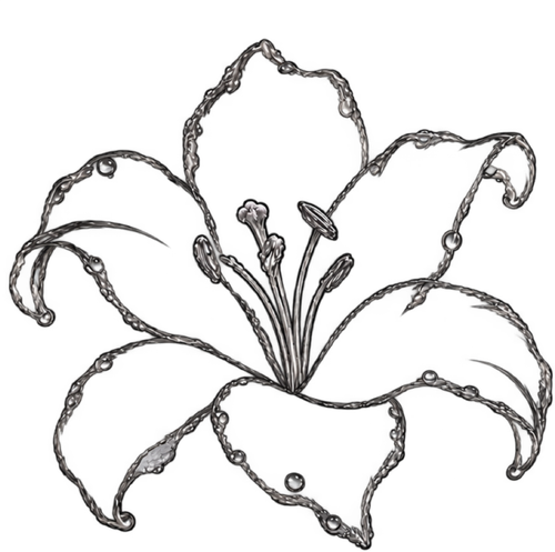 IMG 6462.png