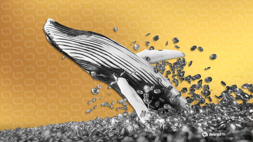 bitcoin whale decrypt style 02 gID 7.jpg