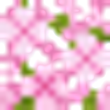 cherry leaves
