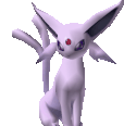 IMG 3557.gif