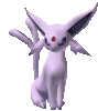 IMG 3558.gif