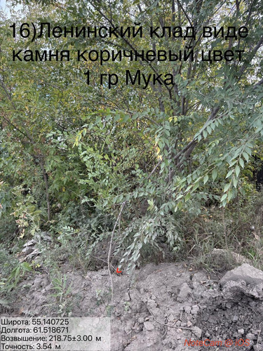 6ab174c5b04f0.jpg