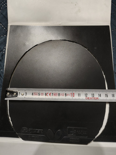 8074.jpg
