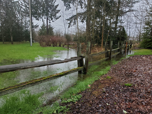 standing water scaled.jpg