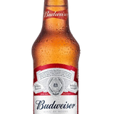 cerveja budweiser 330ml.png