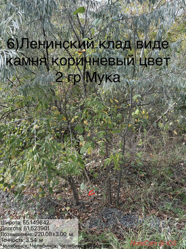 6ab17cf4c2fdf.jpg