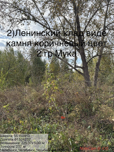 6ab17cea7cf9a.jpg