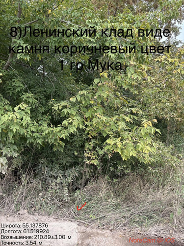 6ab1746aa7f06.jpg