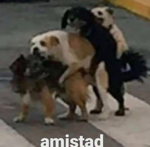 imagen 2026 09 21 205214104.png