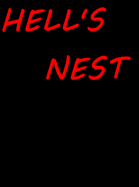 NEST.png