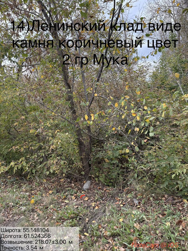 6ab17cff95eee.jpg