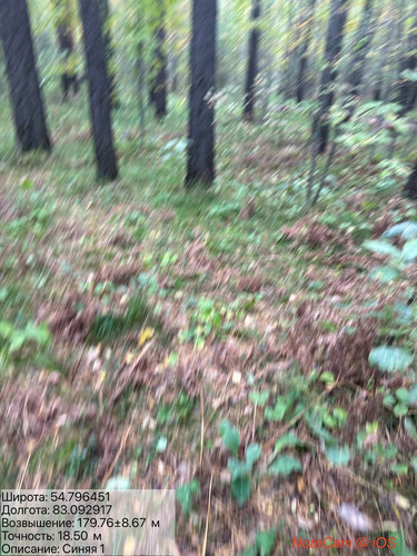 6ab18001b7e5b.jpg