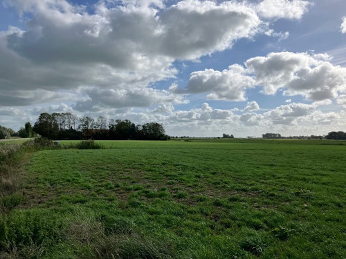 landscape small.jpg
