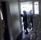 11bee8515feb.gif