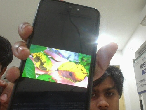 dd5cf0526497.jpg