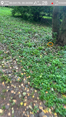 6ab15417d0d35.jpg
