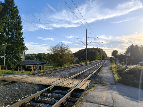 1000091675.jpg