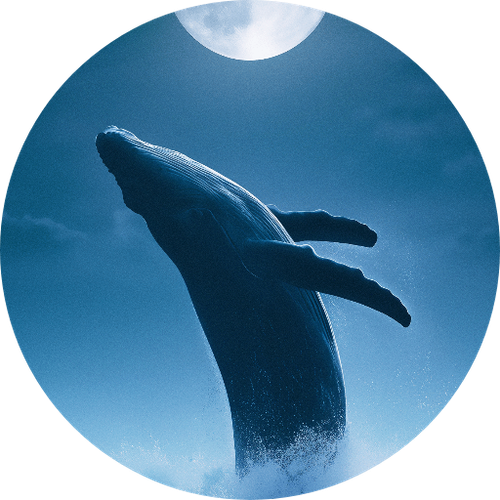 e17d1255f845.png