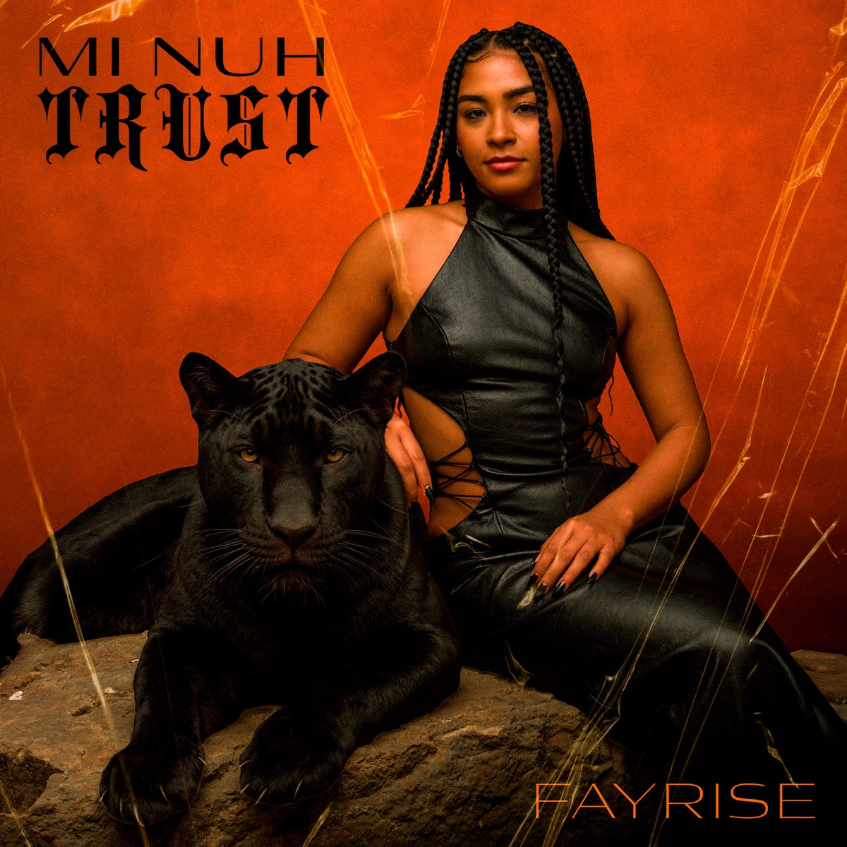 Fayrise - Mi Nuh Trust