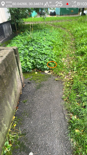 6ab1539390414.jpg
