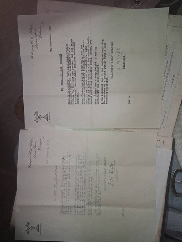 6f77a9c339c5.jpg
