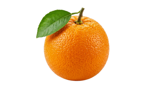 4ba668f8f8bc.png