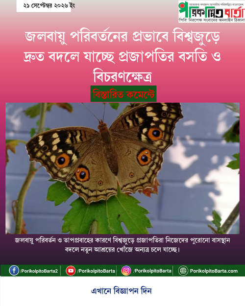 tenant 13 generated photocard 20260921223206 nclf1jcm.png