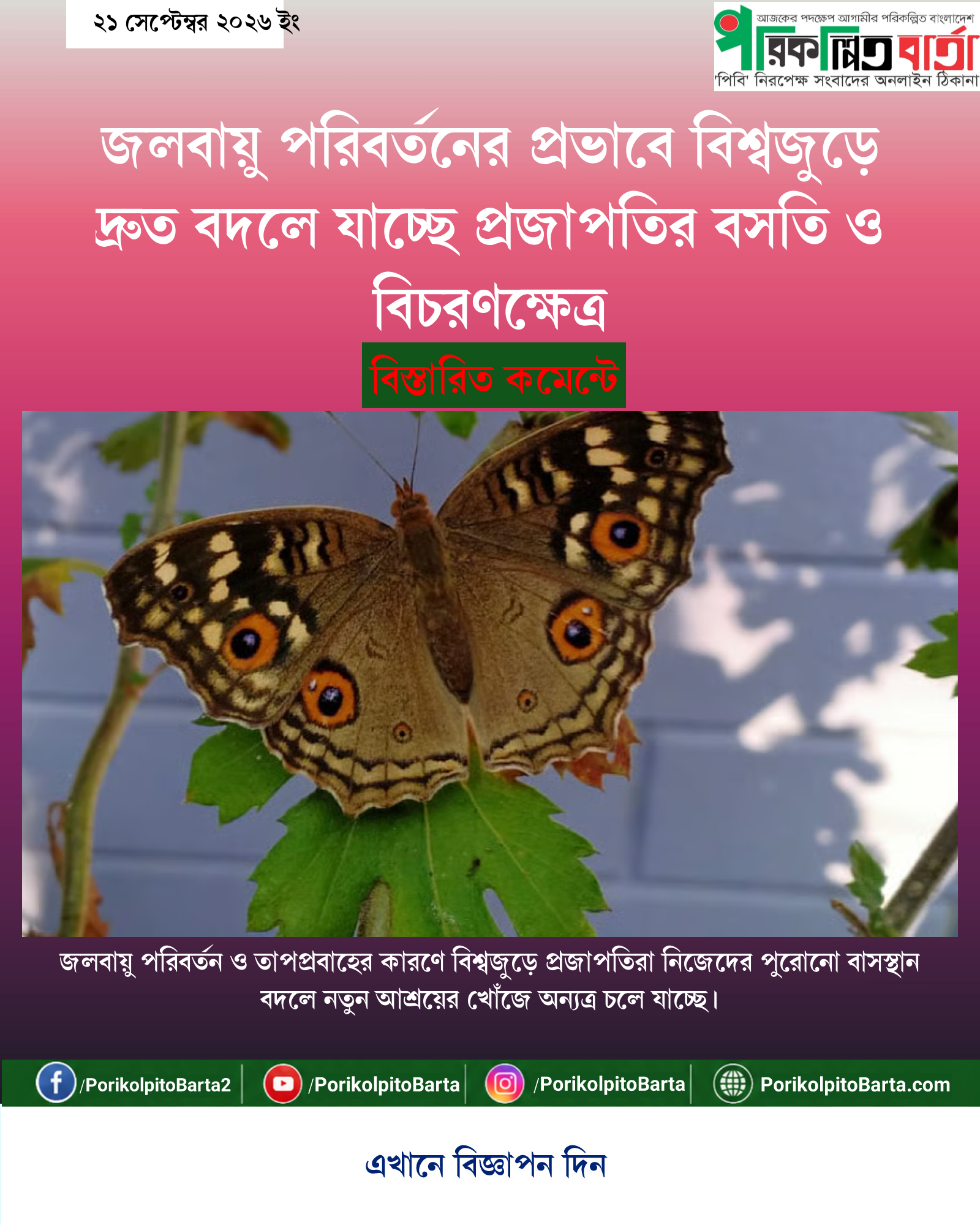 জলবায়ু পরিবর্তনের প্রভাবে বিশ্বজুড়ে দ্রুত বদলে যাচ্ছে প্রজাপতির বসতি ও বিচরণক্ষেত্র