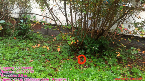 6ab15d18319f6.jpg