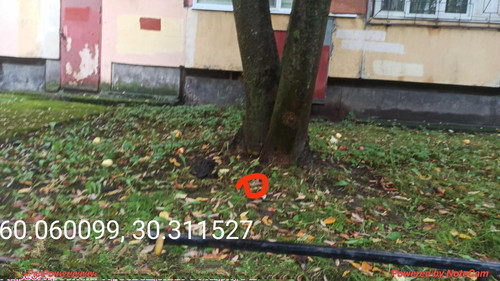 6ab15d2345ae9.jpg