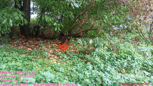 6ab15d348e355.jpg