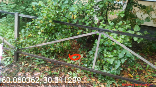 6ab15d2221906.jpg
