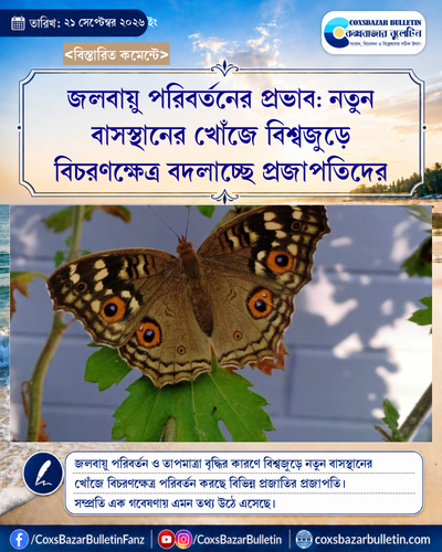 tenant 7 generated photocard 20260921222639 j84bq201.png
