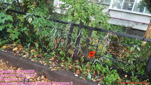 6ab15d351feb2.jpg