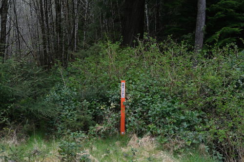 Haida Gwaii middle mile  - PROOF OF CONCEPT #1.jpg