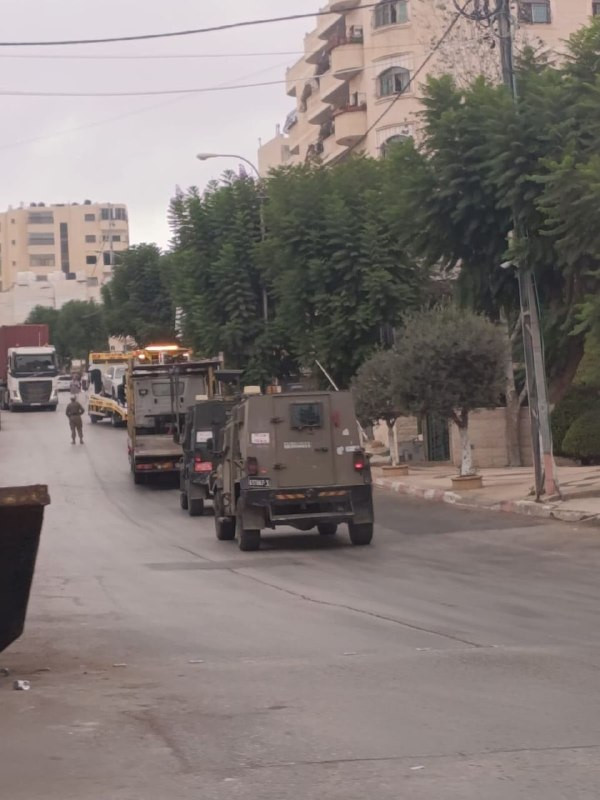 صورة الخبر