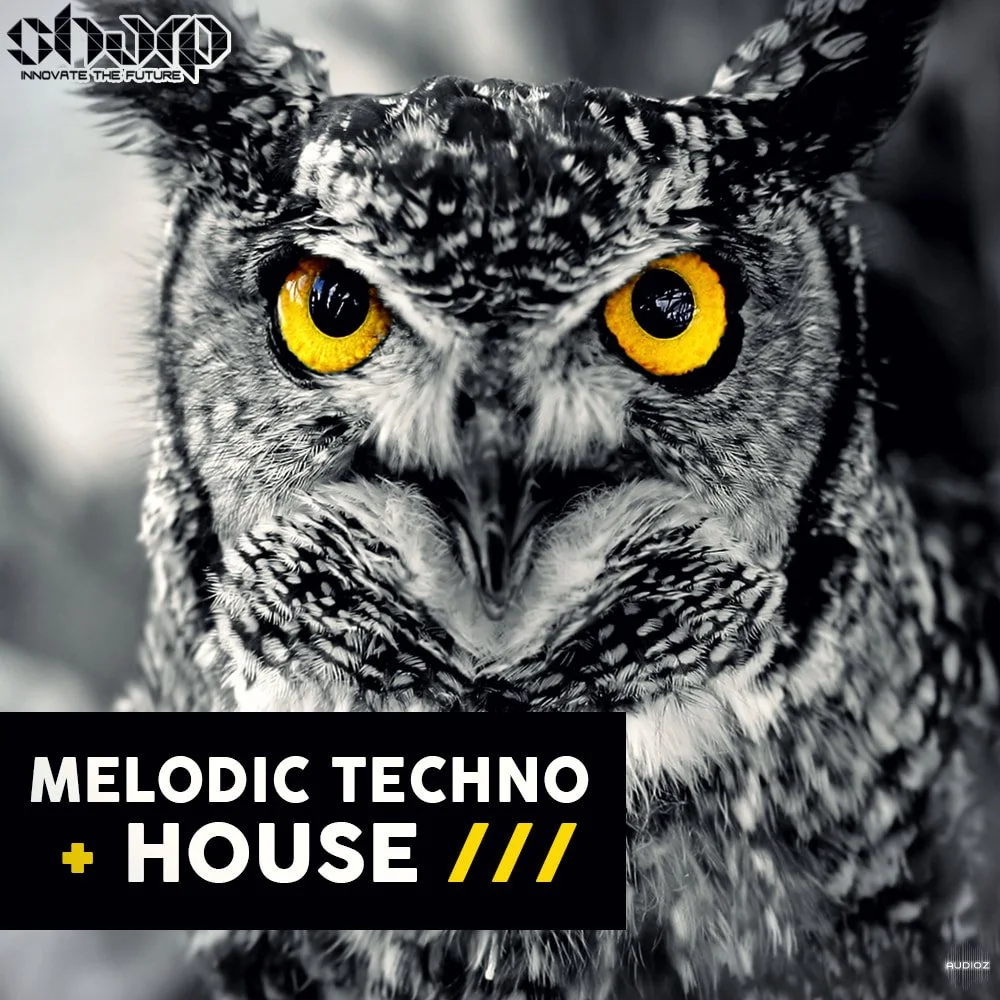 SHARP Melodic Techno and House WAV MiDi-FANTASTiC
