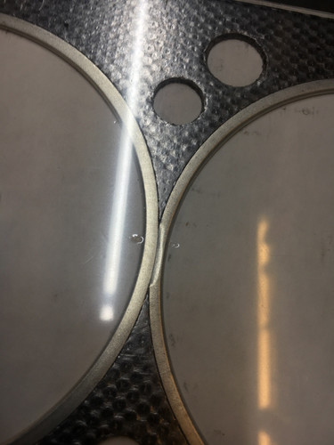 EEE1D58C 75E9 40D5 B385 8780173AFABC.jpg