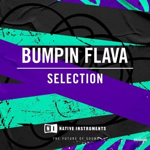 Native Instruments Bumpin Flava Selection WAV-UHUB