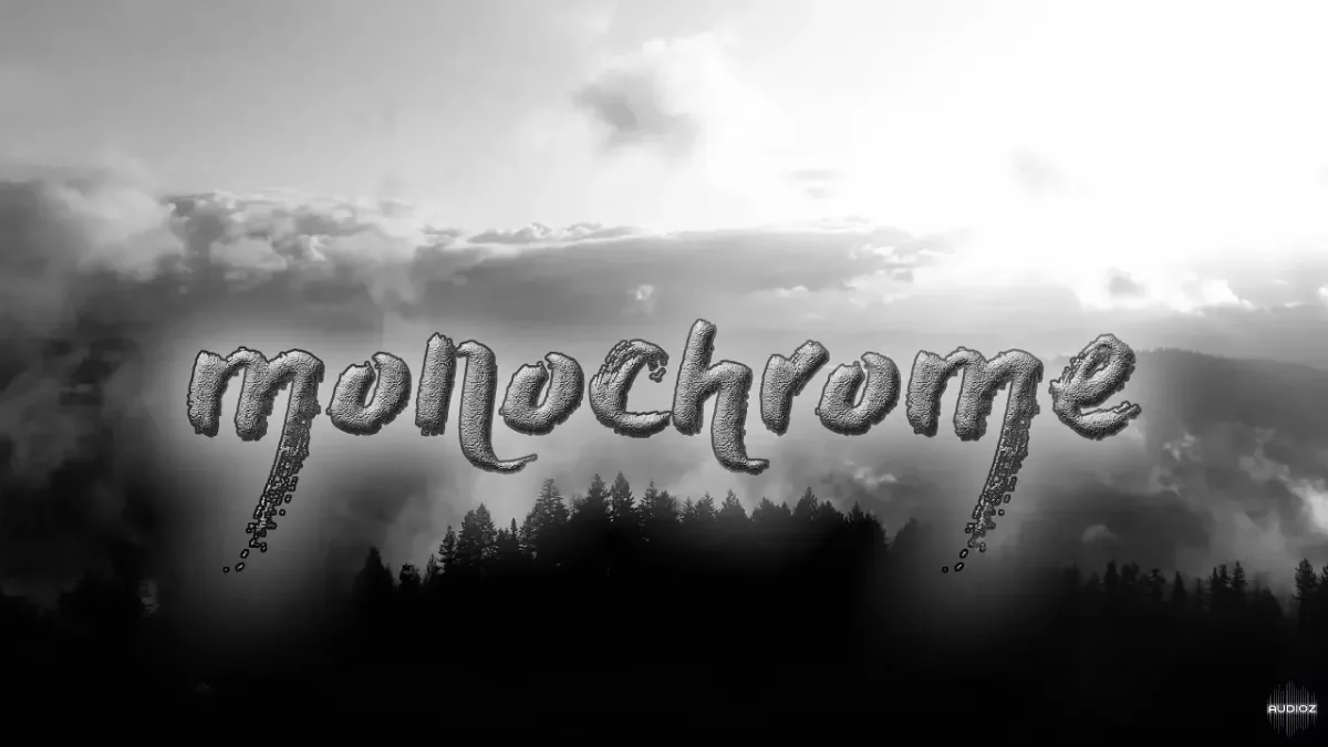 ARMAAN: Monochrome Drumkit WAV FLP REASON and ABLETON LIVE PROJECTS-FANTASTiC