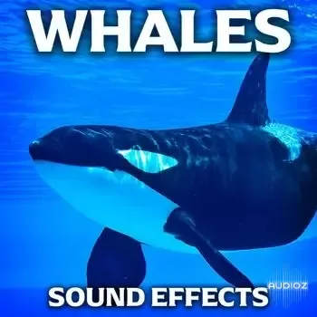 Sound Ideas Whales Sound Effects FLAC
