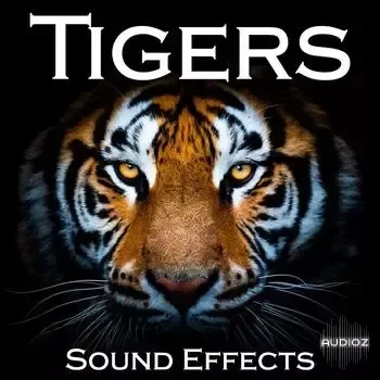 Sound Ideas Tigers Sound Effects FLAC