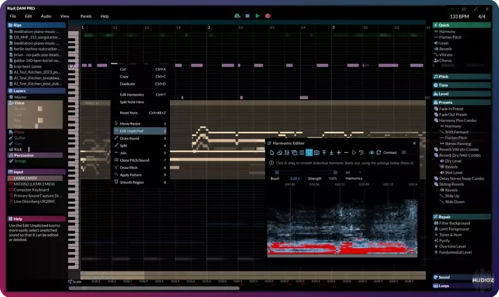 Hit 'n' Mix RipX DAW PRO v7.1.0 WiN-MOCHA